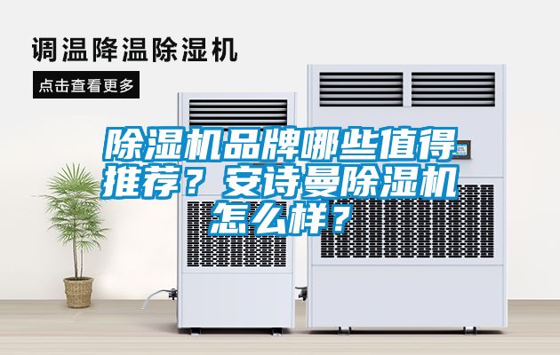 除濕機品牌哪些值得推薦？安詩曼除濕機怎么樣？