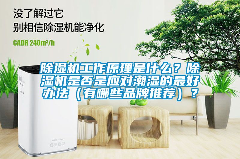 除濕機(jī)工作原理是什么？除濕機(jī)是否是應(yīng)對(duì)潮濕的最好辦法（有哪些品牌推薦）？