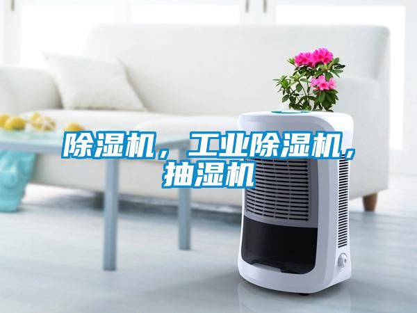 除濕機，工業(yè)除濕機，抽濕機