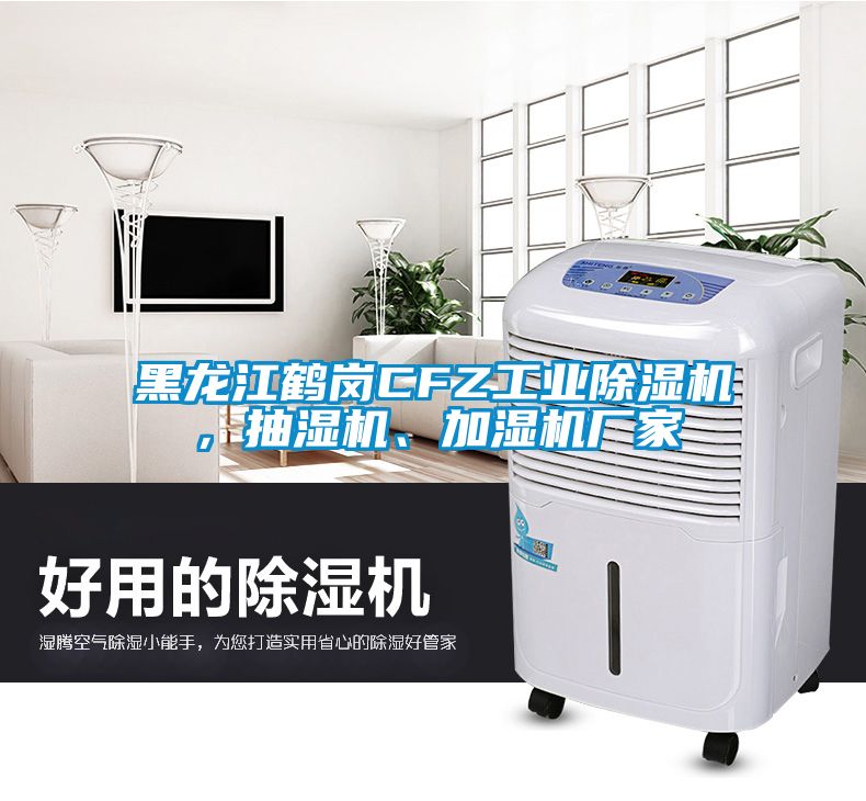 黑龍江鶴崗CFZ工業(yè)除濕機，抽濕機、加濕機廠家