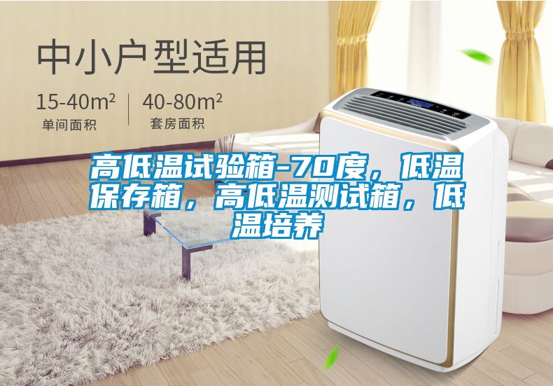 高低溫試驗箱-70度，低溫保存箱，高低溫測試箱，低溫培養(yǎng)