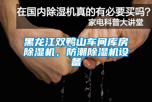 黑龍江雙鴨山車間庫房除濕機，防潮除濕機設備