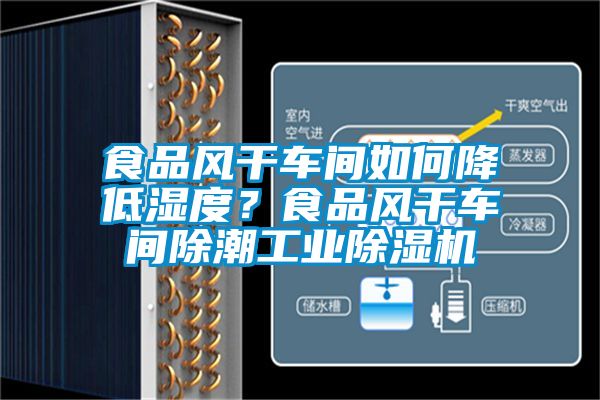 食品風(fēng)干車間如何降低濕度？食品風(fēng)干車間除潮工業(yè)除濕機(jī)