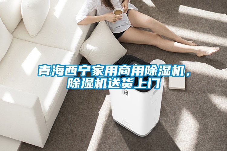青海西寧家用商用除濕機，除濕機送貨上門