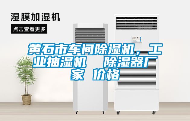 黃石市車間除濕機，工業(yè)抽濕機  除濕器廠家 價格