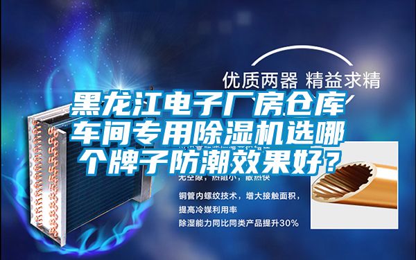 黑龍江電子廠房倉庫車間專用除濕機選哪個牌子防潮效果好？