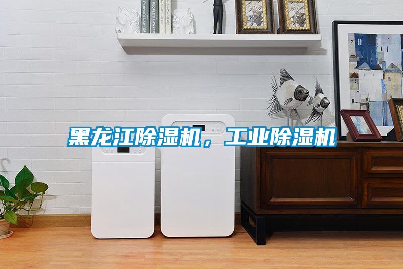 黑龍江除濕機(jī)，工業(yè)除濕機(jī)