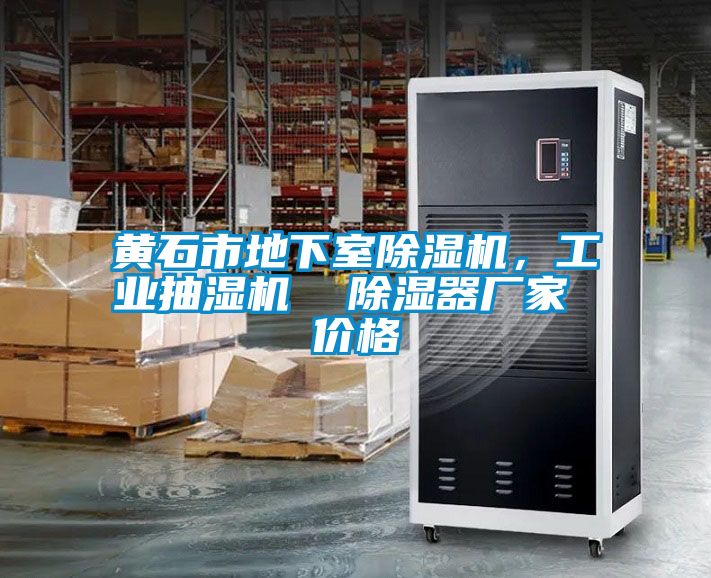 黃石市地下室除濕機(jī)，工業(yè)抽濕機(jī)  除濕器廠家 價(jià)格