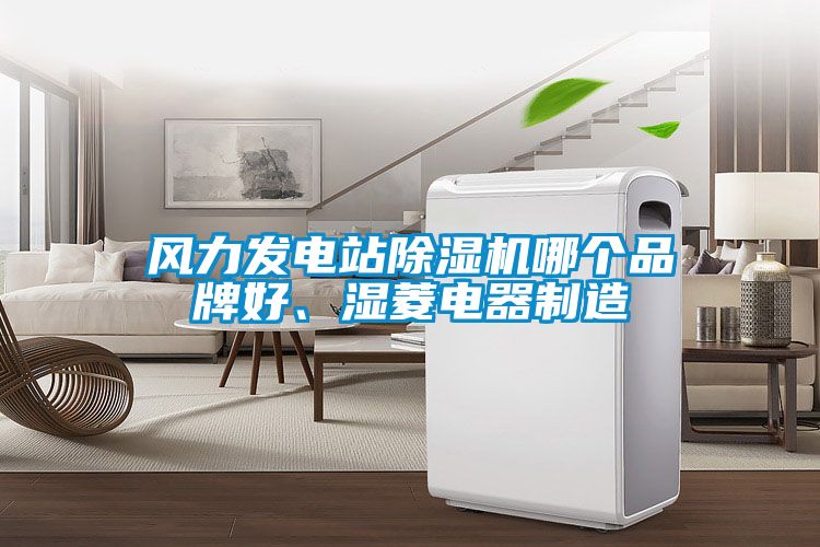 風(fēng)力發(fā)電站除濕機哪個品牌好、濕菱電器制造