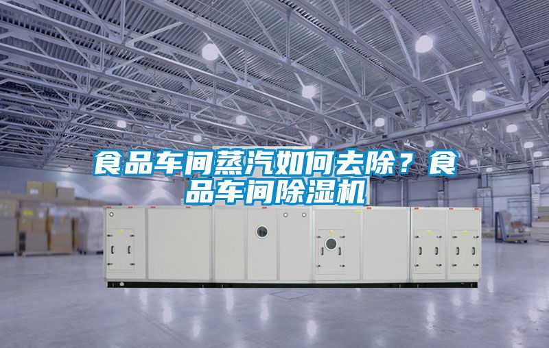 食品車(chē)間蒸汽如何去除？食品車(chē)間除濕機(jī)