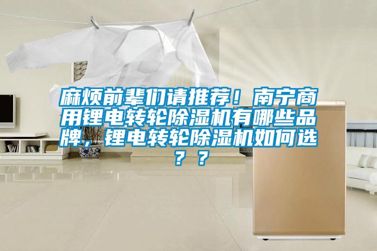 麻煩前輩們請(qǐng)推薦！南寧商用鋰電轉(zhuǎn)輪除濕機(jī)有哪些品牌，鋰電轉(zhuǎn)輪除濕機(jī)如何選？？