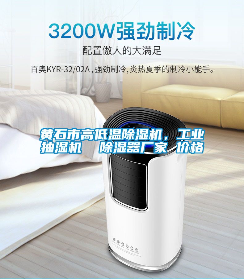 黃石市高低溫除濕機，工業(yè)抽濕機  除濕器廠家 價格