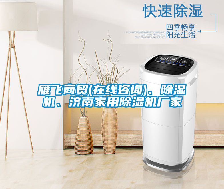 雁飛商貿(mào)(在線咨詢)、除濕機(jī)、濟(jì)南家用除濕機(jī)廠家