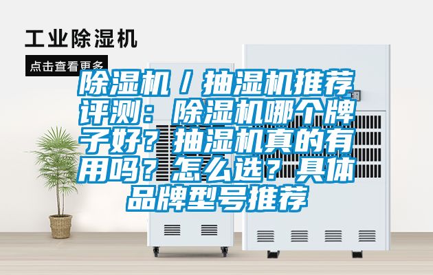除濕機／抽濕機推薦評測：除濕機哪個牌子好？抽濕機真的有用嗎？怎么選？具體品牌型號推薦