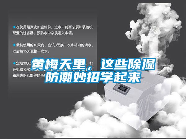 黃梅天里，這些除濕防潮妙招學(xué)起來