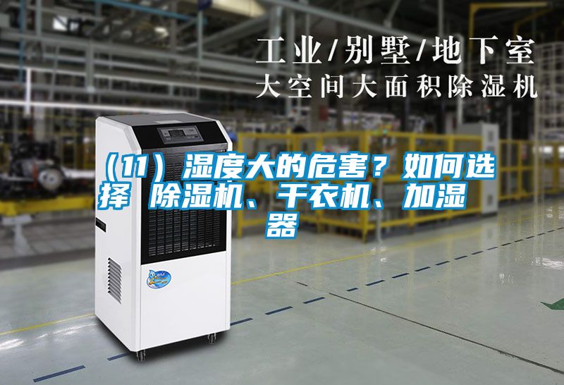 （11）濕度大的危害？如何選擇 除濕機(jī)、干衣機(jī)、加濕器