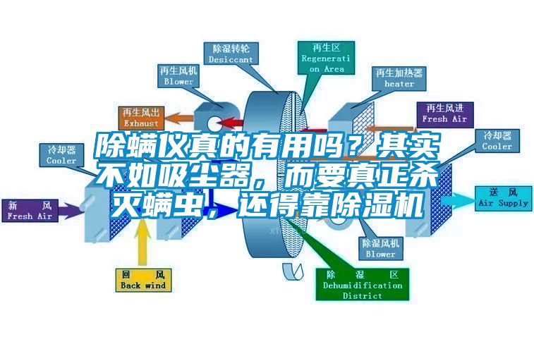 除螨儀真的有用嗎？其實(shí)不如吸塵器，而要真正殺滅螨蟲，還得靠除濕機(jī)
