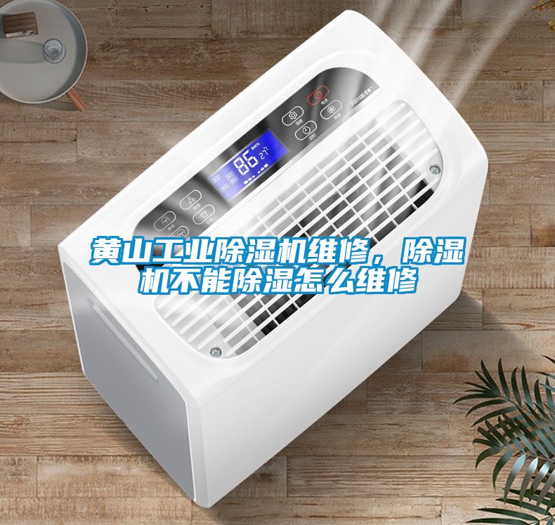 黃山工業(yè)除濕機(jī)維修，除濕機(jī)不能除濕怎么維修